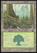 Forest (V.2)