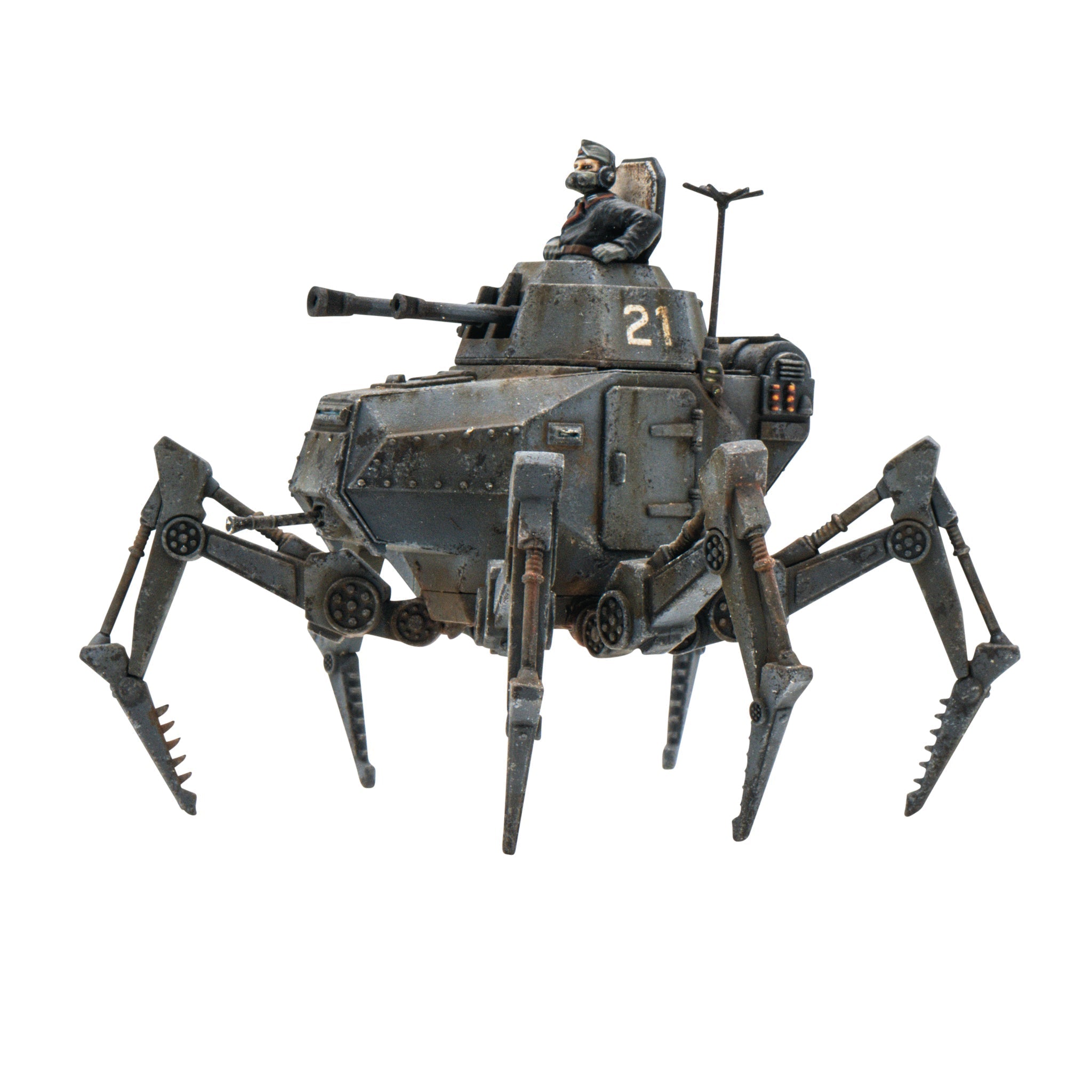 Vogelspinne Light Walker