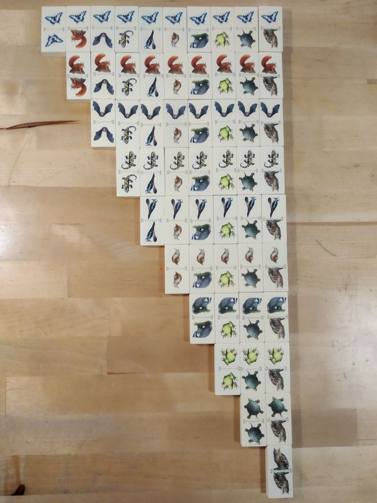 Renature dominoes
