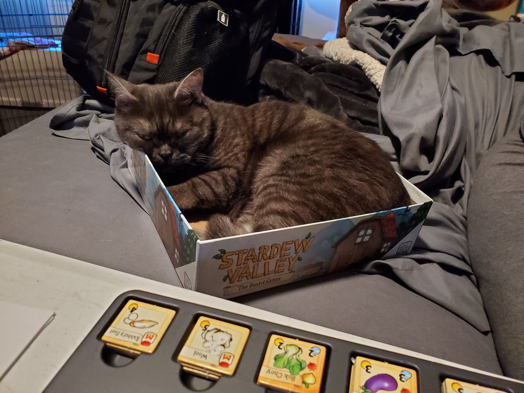 Stardew Valley board game setup