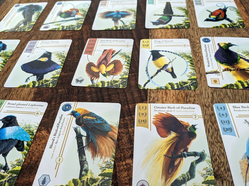 Birdwatcher setup
