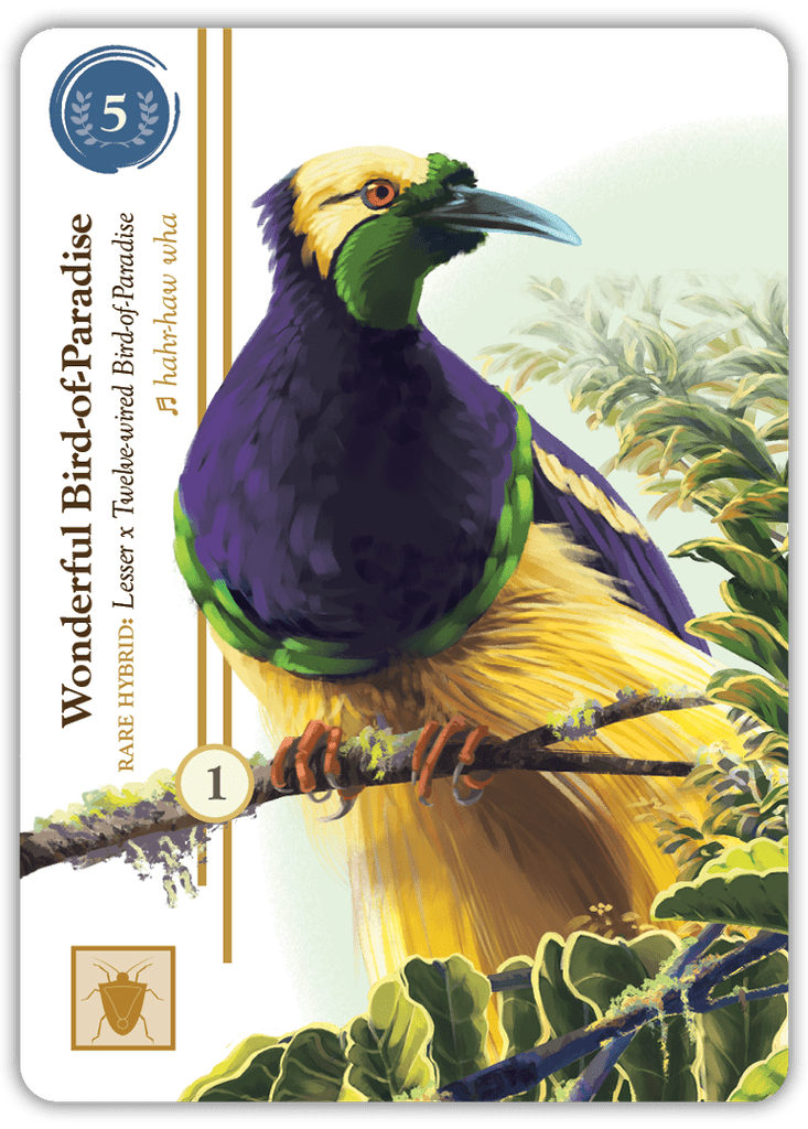 Birdwatcher board game