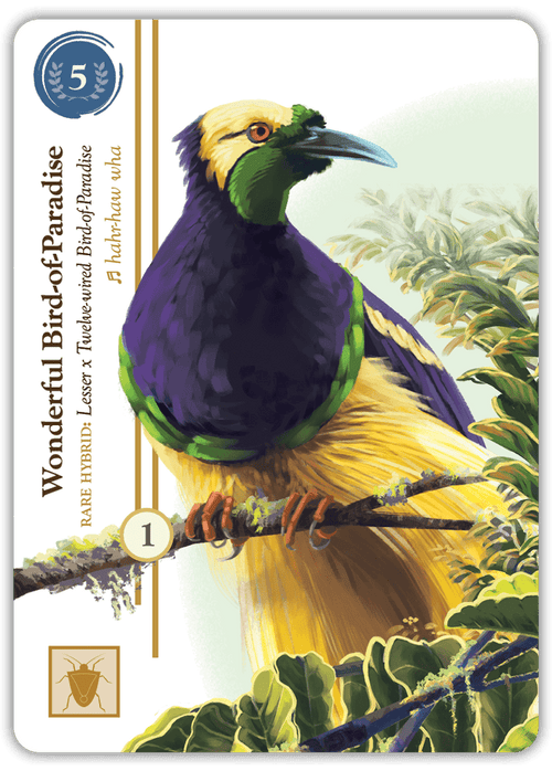 Birdwatcher board game