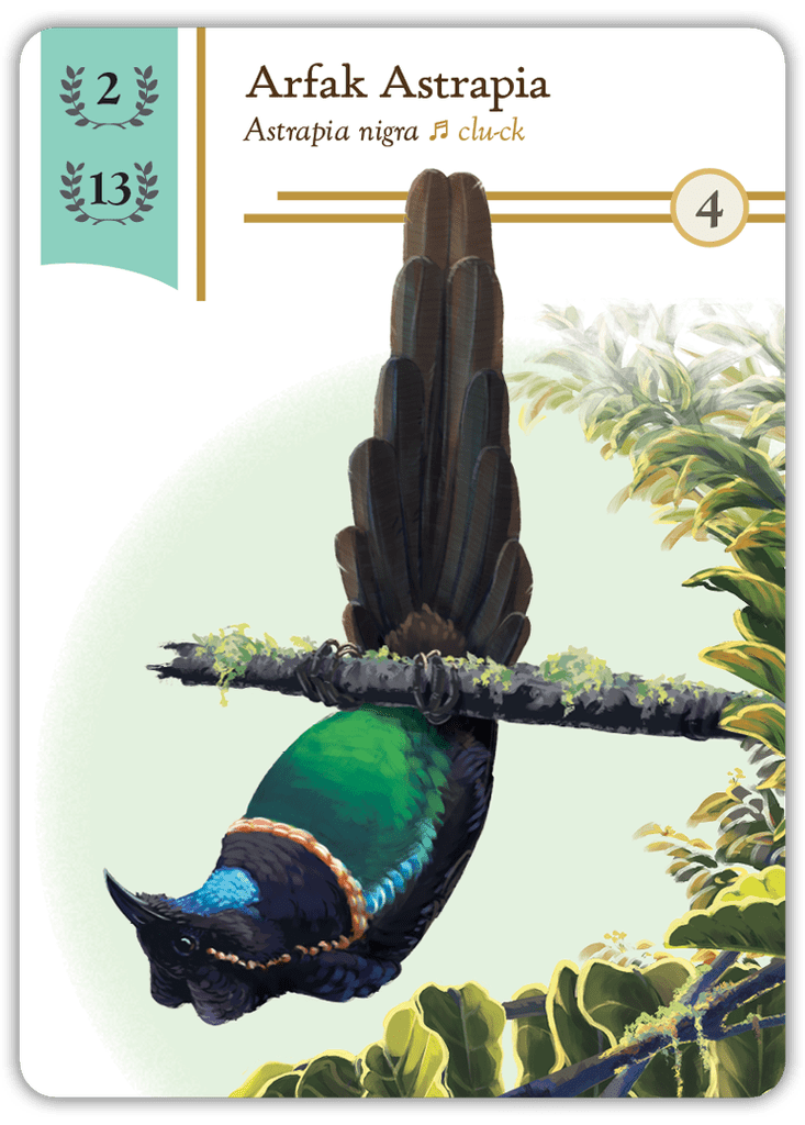 Birdwatcher components