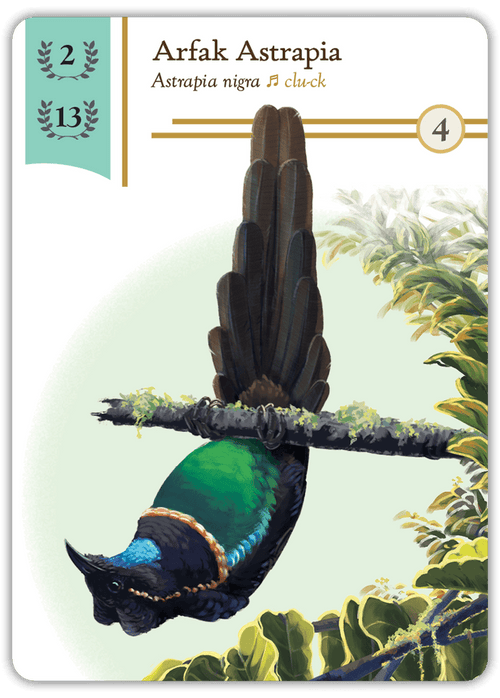Birdwatcher components