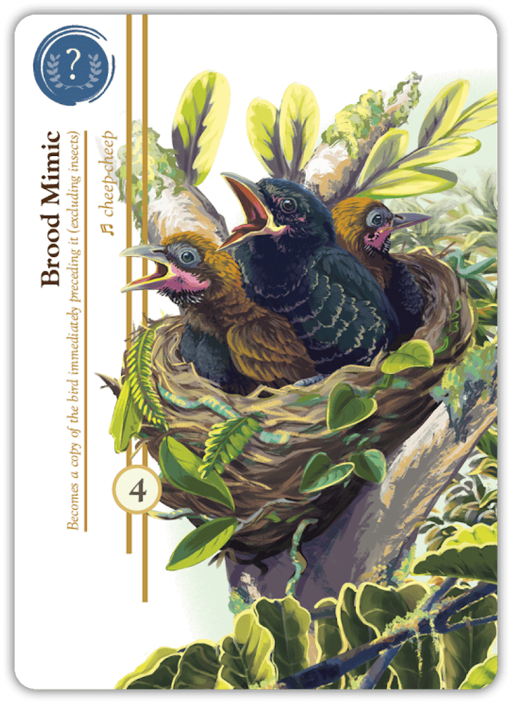 Birdwatcher cards